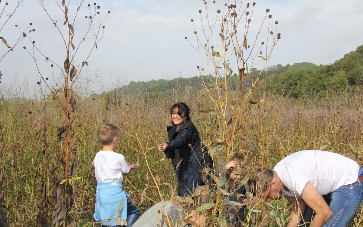 Bio-Kochkurs, Gemüsegarten in November Bio-Kochkurs, Gemüsegarten in November