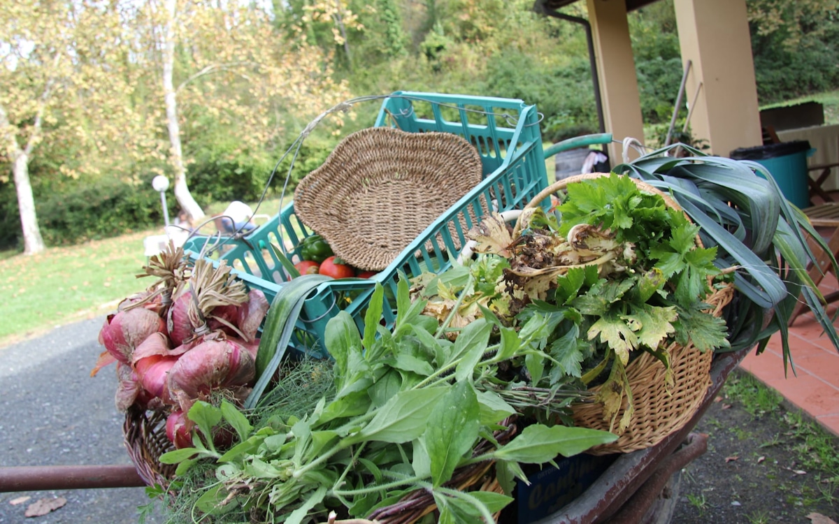 Bio-Kochkurs, Gemüsegarten Bio-Kochkurs, Gemüsegarten