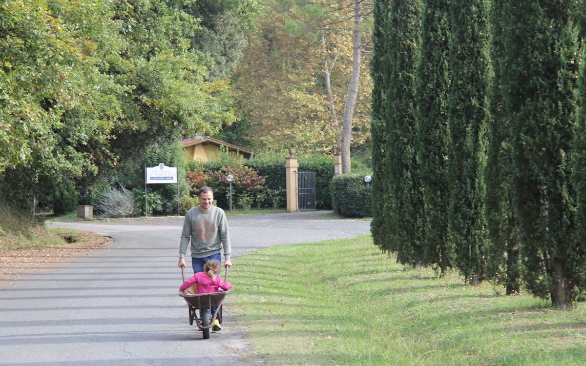 Bio-Kochkurs, auf dem Weg zum Gemüsegarten Bio-Kochkurs, auf dem Weg zum Gemüsegarten