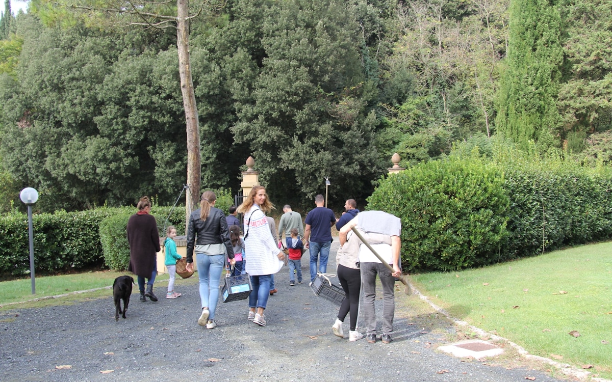 Bio-Kochkurs für Groß und Klein Bio-Kochkurs für Groß und Klein