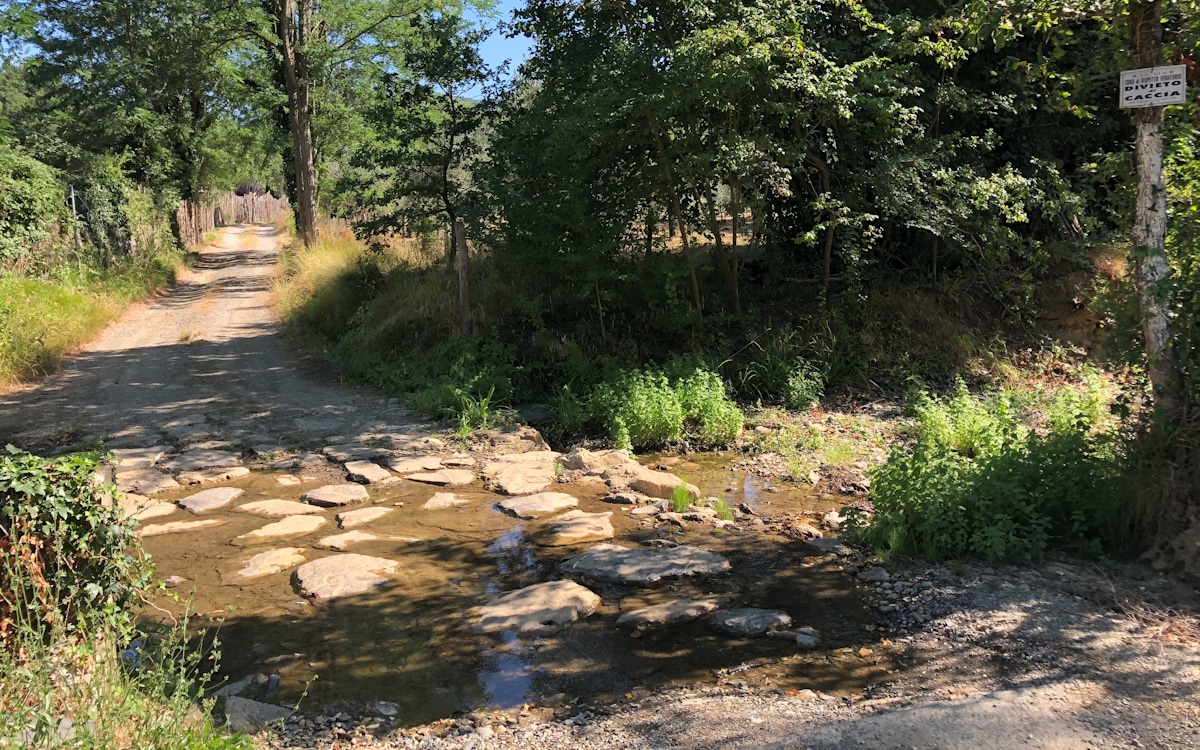E-Bike-Tour und Weinprobe in Bolgheri - On Tour (19)