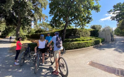 E-Bike-Tour und Weinprobe in Bolgheri - On Tour bei Ornellaia (23)