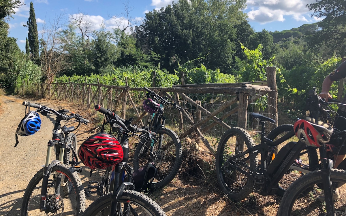 E-Bike-Tour und Weinprobe in Bolgheri - Tourstart (6) E-Bike-Tour und Weinprobe in Bolgheri - Tourstart (6)
