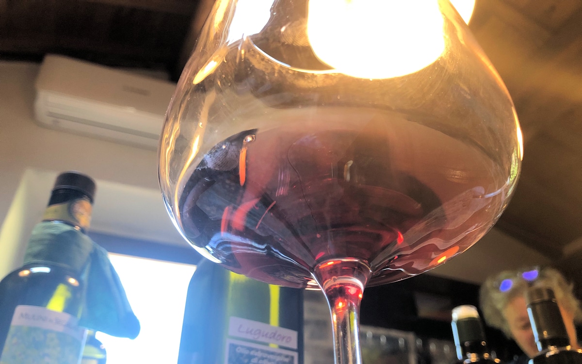 E-Bike-Tour und Weinprobe in Bolgheri - Verkostung (13)