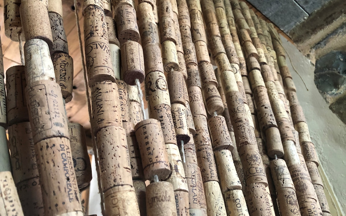 E-Bike-Tour und Weinprobe in Bolgheri - Weingut (10)