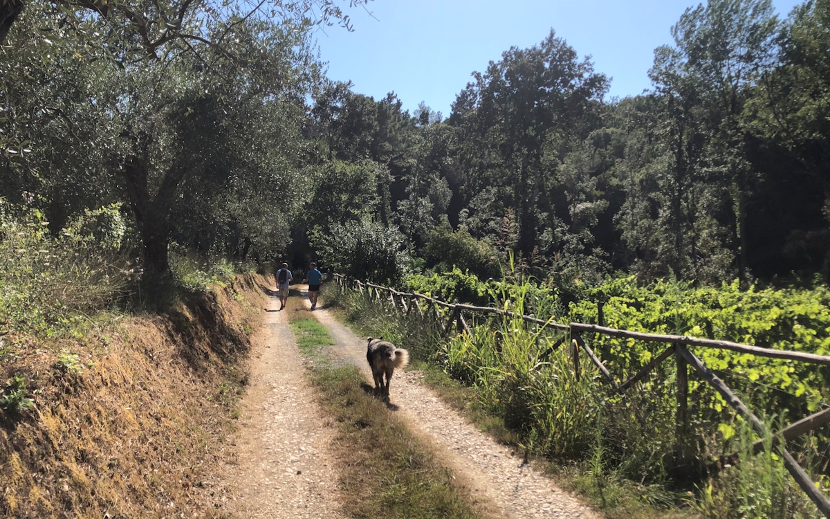 E-Bike-Tour und Weinprobe in Bolgheri - Weingut (18)