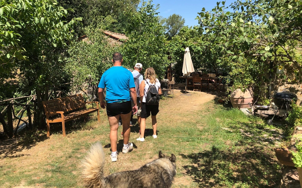 E-Bike-Tour und Weinprobe in Bolgheri - Weingut (2)