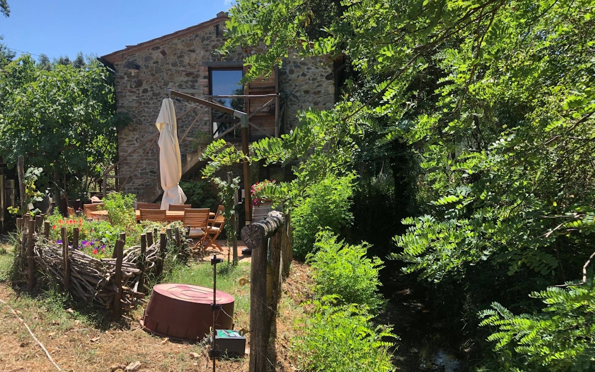 E-Bike-Tour und Weinprobe in Bolgheri - Weingut (4)