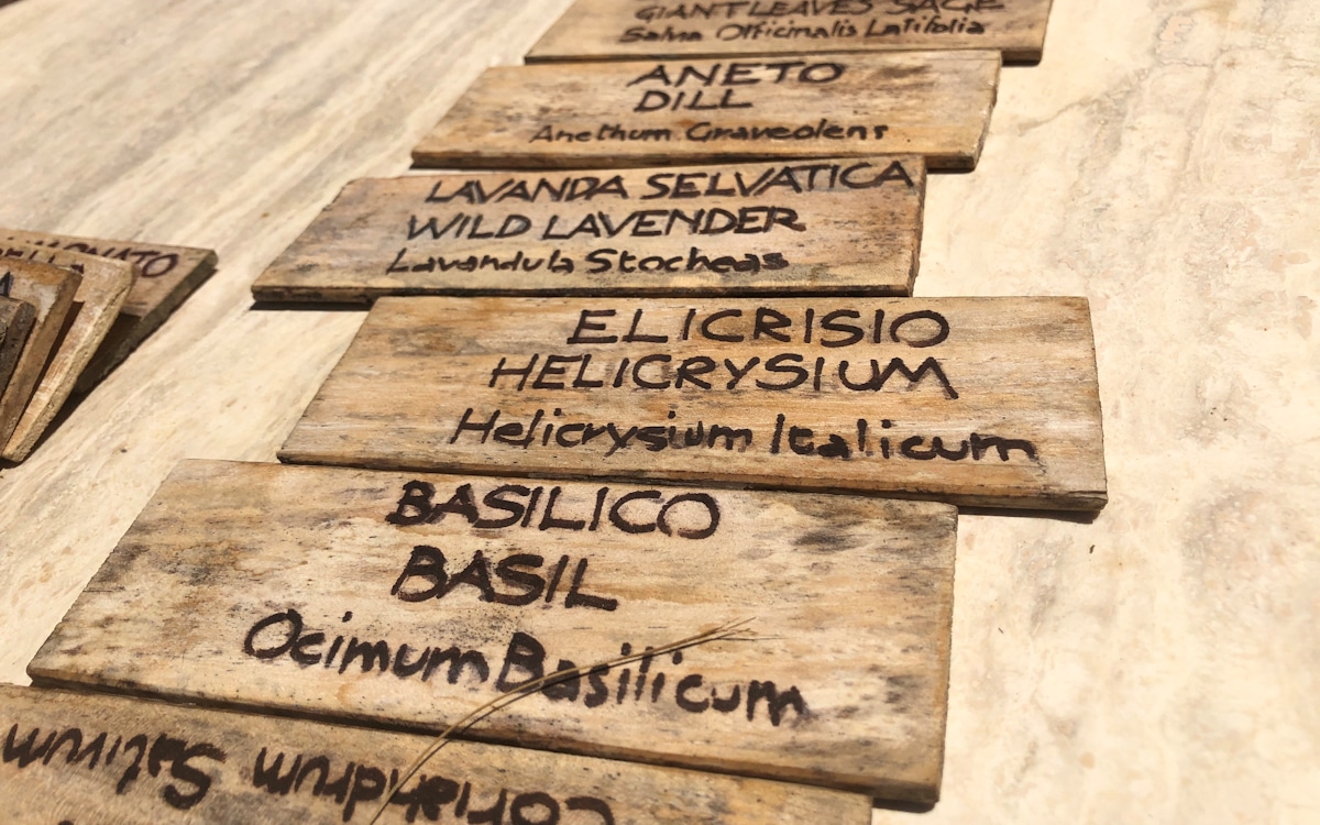 E-Bike-Tour und Weinprobe in Bolgheri - Weingut (7)