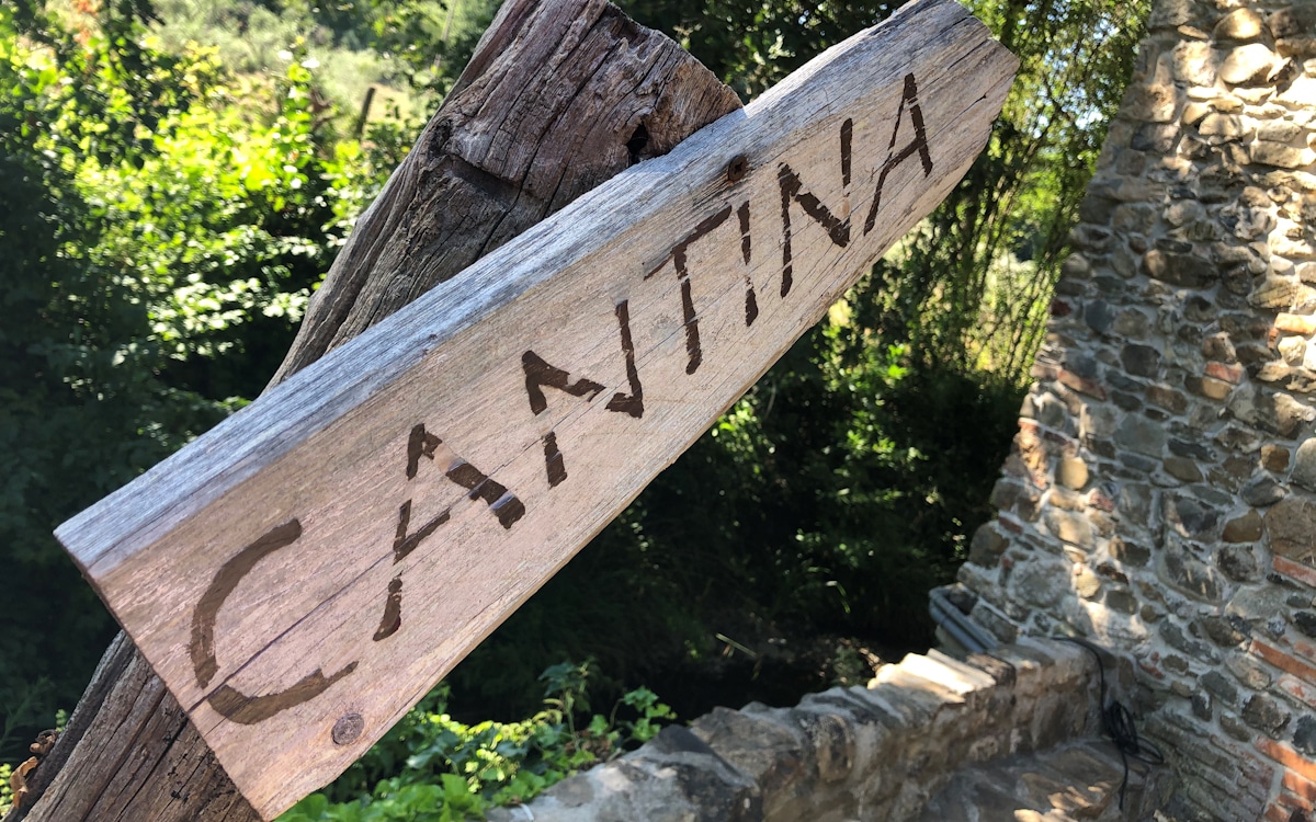 E-Bike-Tour und Weinprobe in Bolgheri - Weinkeller (16)