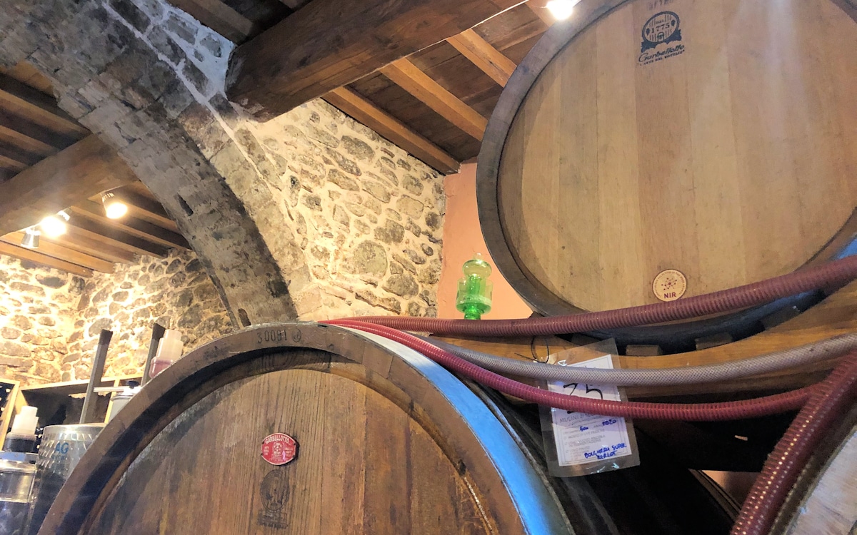 E-Bike-Tour und Weinprobe in Bolgheri - Weinkeller (17)