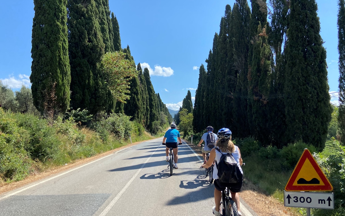E-Bike-Tour und Weinprobe in Bolgheri - Zypressenzufahrt (24) E-Bike-Tour und Weinprobe in Bolgheri - Zypressenzufahrt (24)