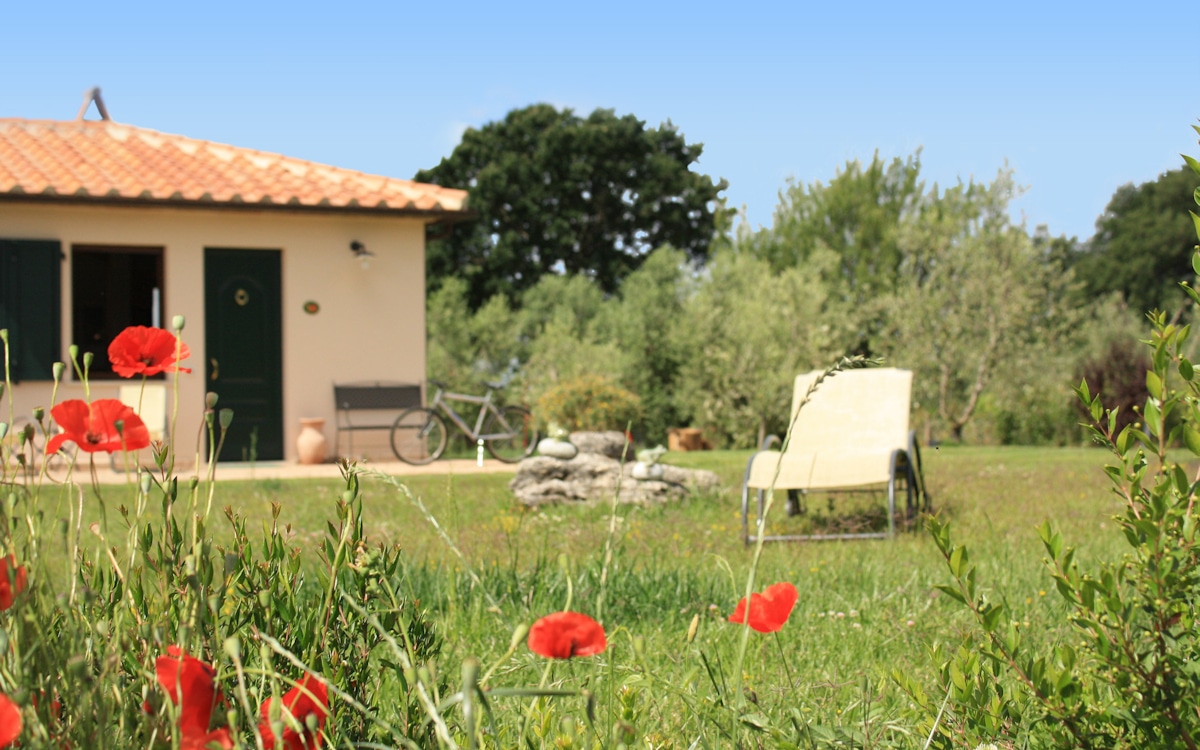 Ferienwohnung CH3E, Garten Ferienwohnung CH3E, Garten