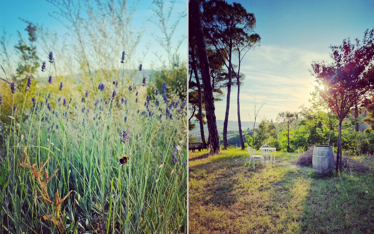 Toskana-Fußball-Camp, Barbecue mit Weinprobe beim Winzer (1) Toskana-Fußball-Camp, Barbecue mit Weinprobe beim Winzer (1)