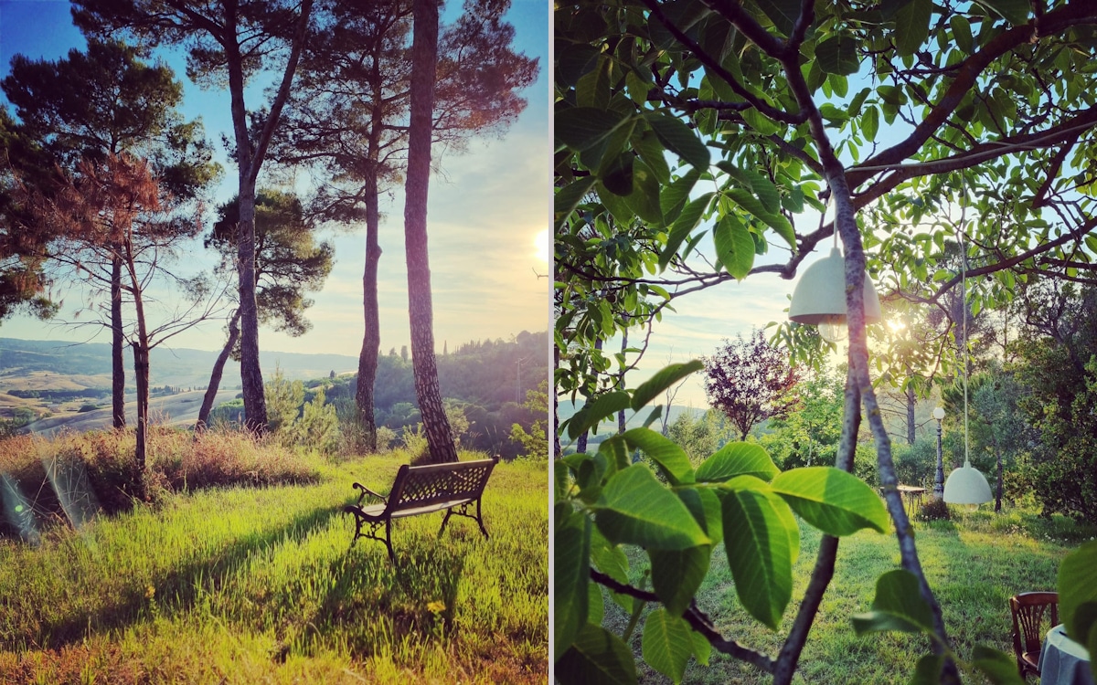 Toskana-Fußball-Camp, Barbecue mit Weinprobe beim Winzer (2) Toskana-Fußball-Camp, Barbecue mit Weinprobe beim Winzer (2)