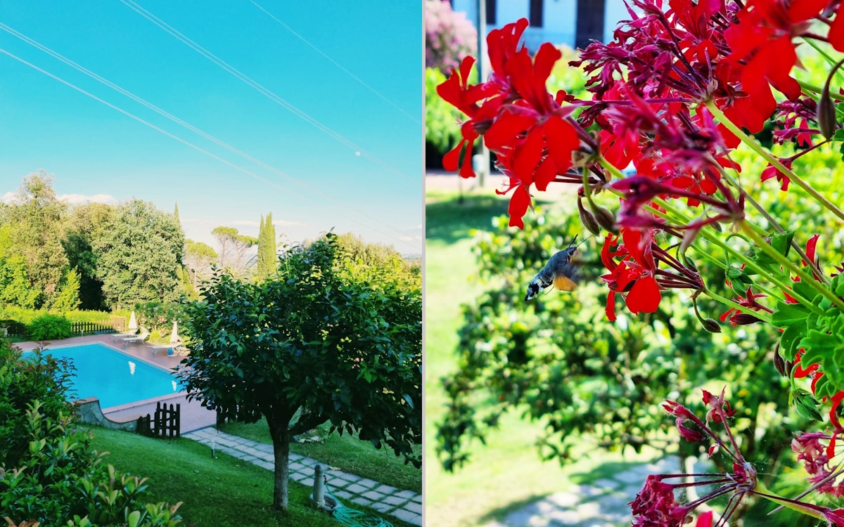 Toskana-Fußball-Camp, Ferienhaus In Toscana (1) Toskana-Fußball-Camp, Ferienhaus In Toscana (1)