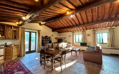 Agriturismo Gaiole 1, Ferienwohnung PA21 (10)