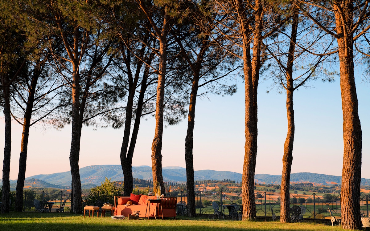 Burg Umbrien, Park mit Pinien (1) Burg Umbrien, Park mit Pinien (1)