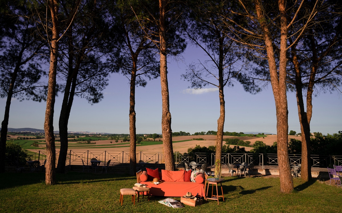 Burg Umbrien, Park mit Pinien (3) Burg Umbrien, Park mit Pinien (3)