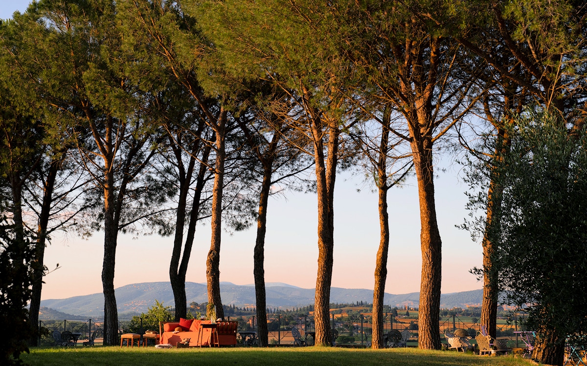 Burg Umbrien, Park mit Pinien (4) Burg Umbrien, Park mit Pinien (4)