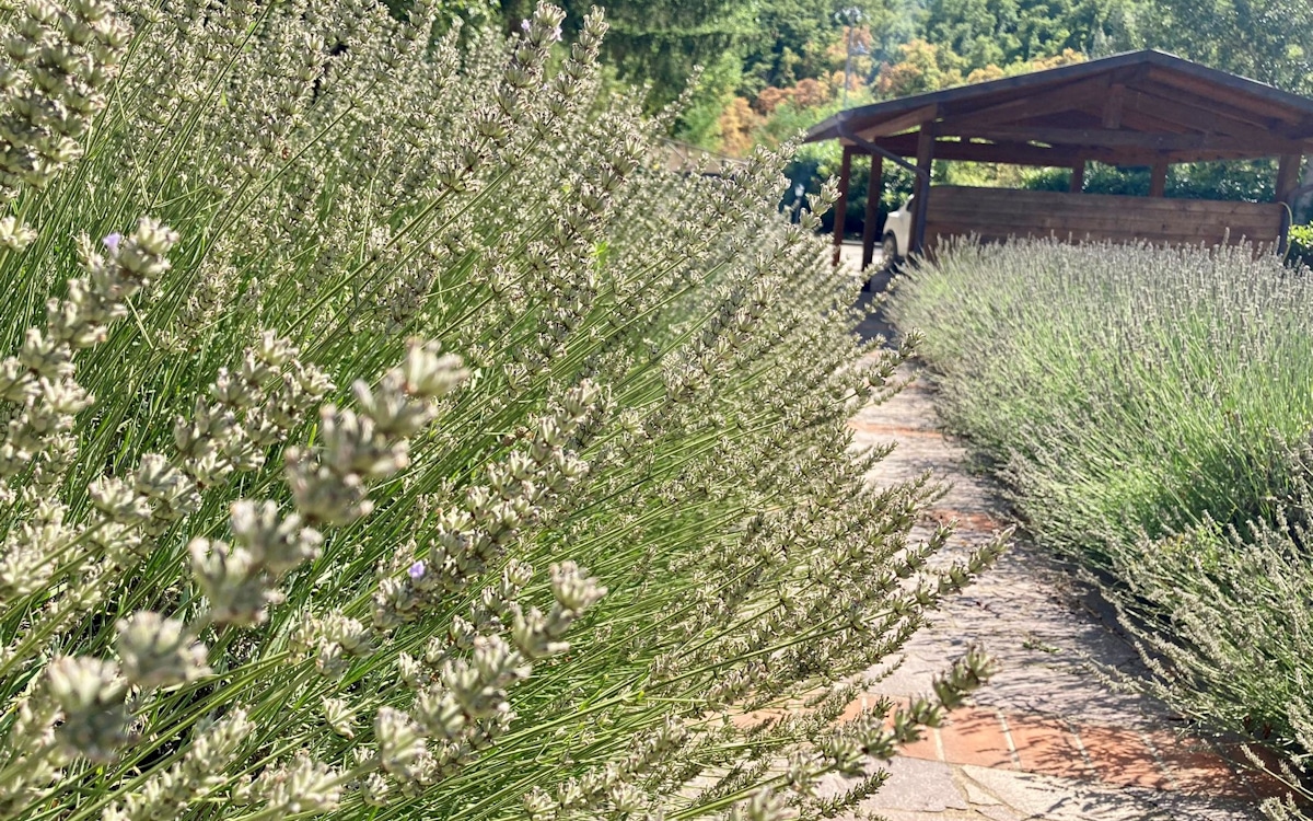 Ferienhaus Gaiole 5 (17) Ferienhaus Gaiole 5 (17)