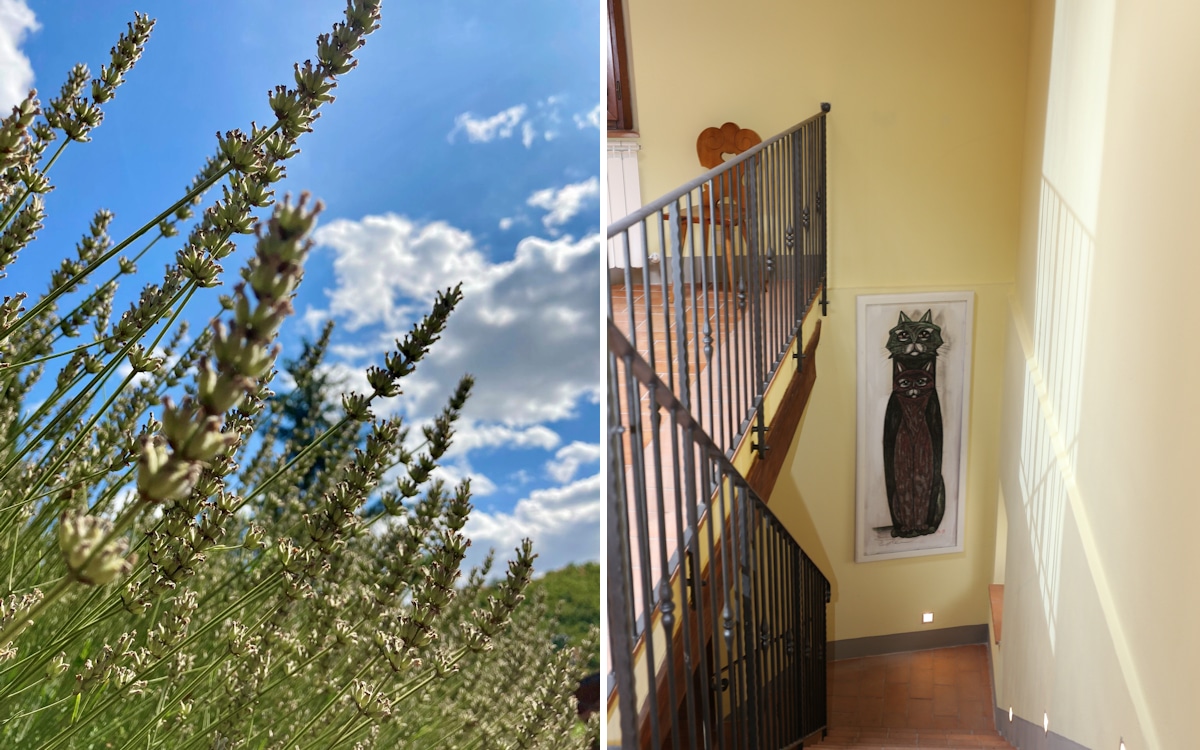 Ferienhaus Gaiole 5 (19) Ferienhaus Gaiole 5 (19)