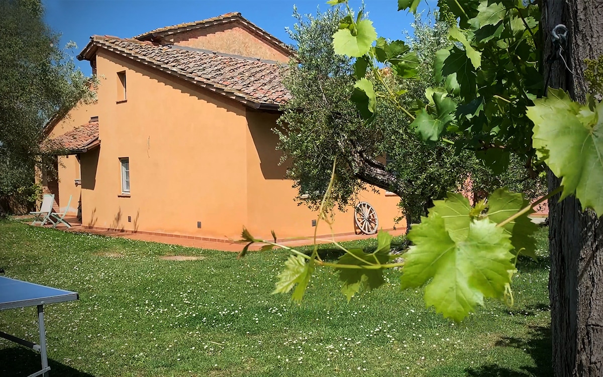 Agriturismo Crespina, Garten (1) Agriturismo Crespina, Garten (1)