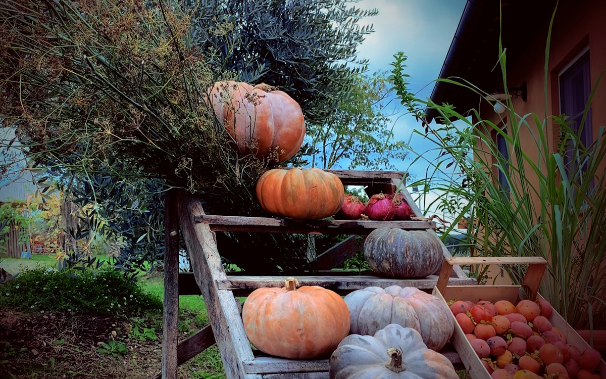 Agriturismo Crespina, Herbst (1) Agriturismo Crespina, Herbst (1)