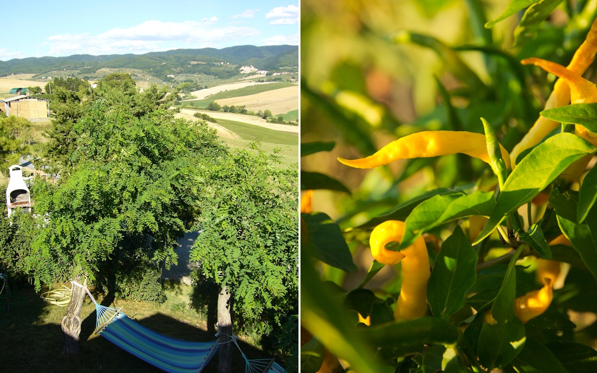 Agriturismo Santa Luce, FeWo AC31 (17) Agriturismo Santa Luce, FeWo AC31 (17)