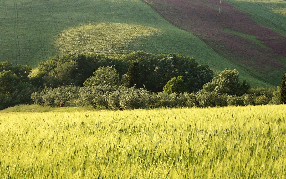Agriturismo Santa Luce, Panorama (2)