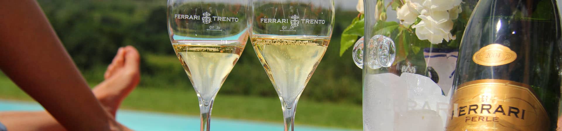 Terricciola Estate Headerafbeelding | Toscaans forum