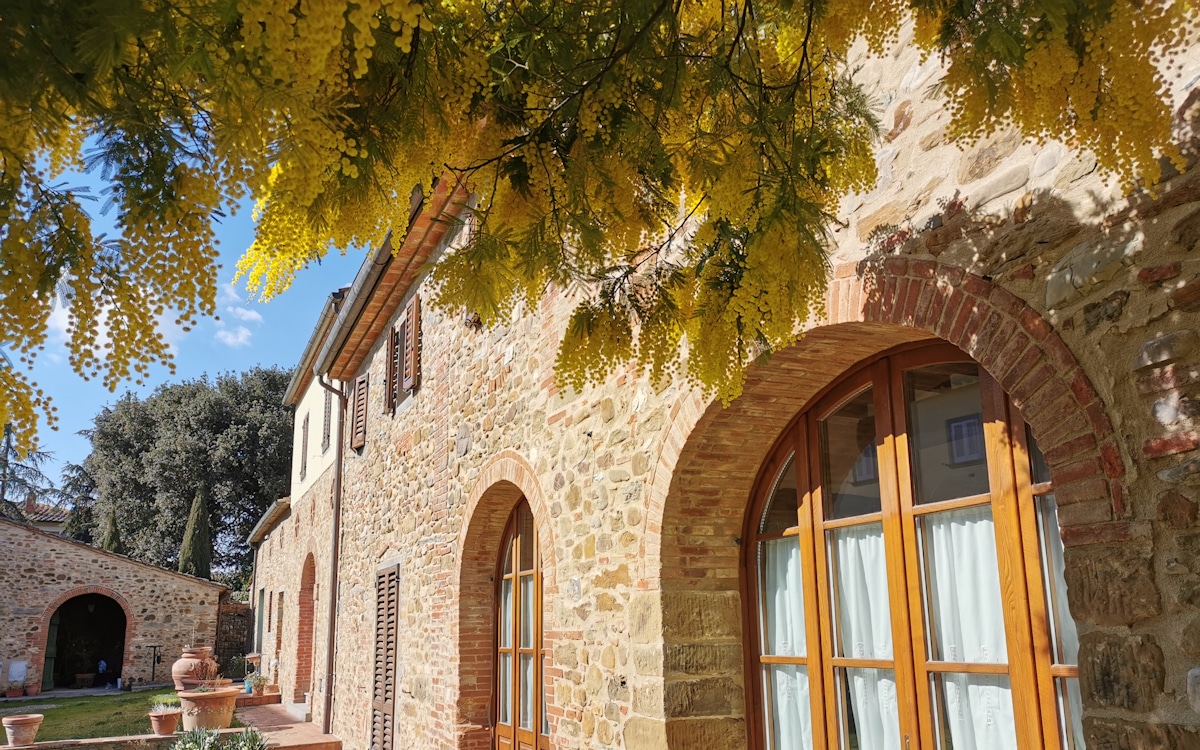 Villa Arezzo Mimose Villa Arezzo Mimose