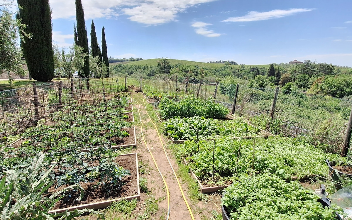 Anwesen Gaiole, Gemüsegarten für die Gäste (3) Anwesen Gaiole, Gemüsegarten für die Gäste (3)