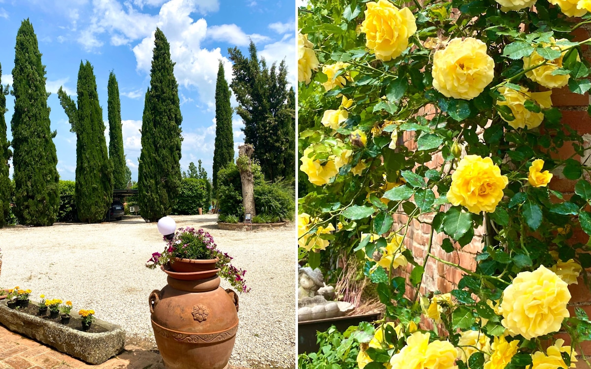 Ferienhaus Montepulciano, Garten (2) Ferienhaus Montepulciano, Garten (2)