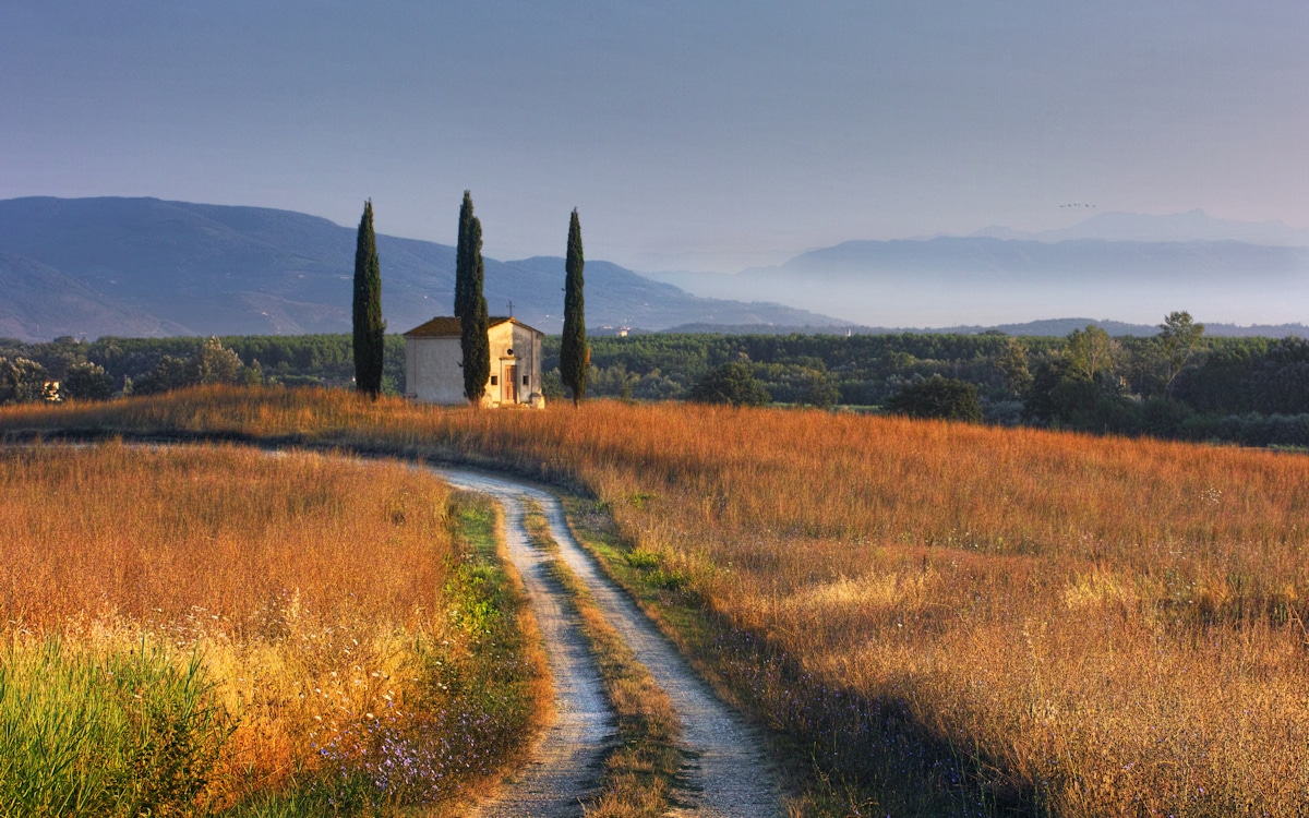 Tenuta di Camugliano: die Kapelle Tenuta di Camugliano: die Kapelle