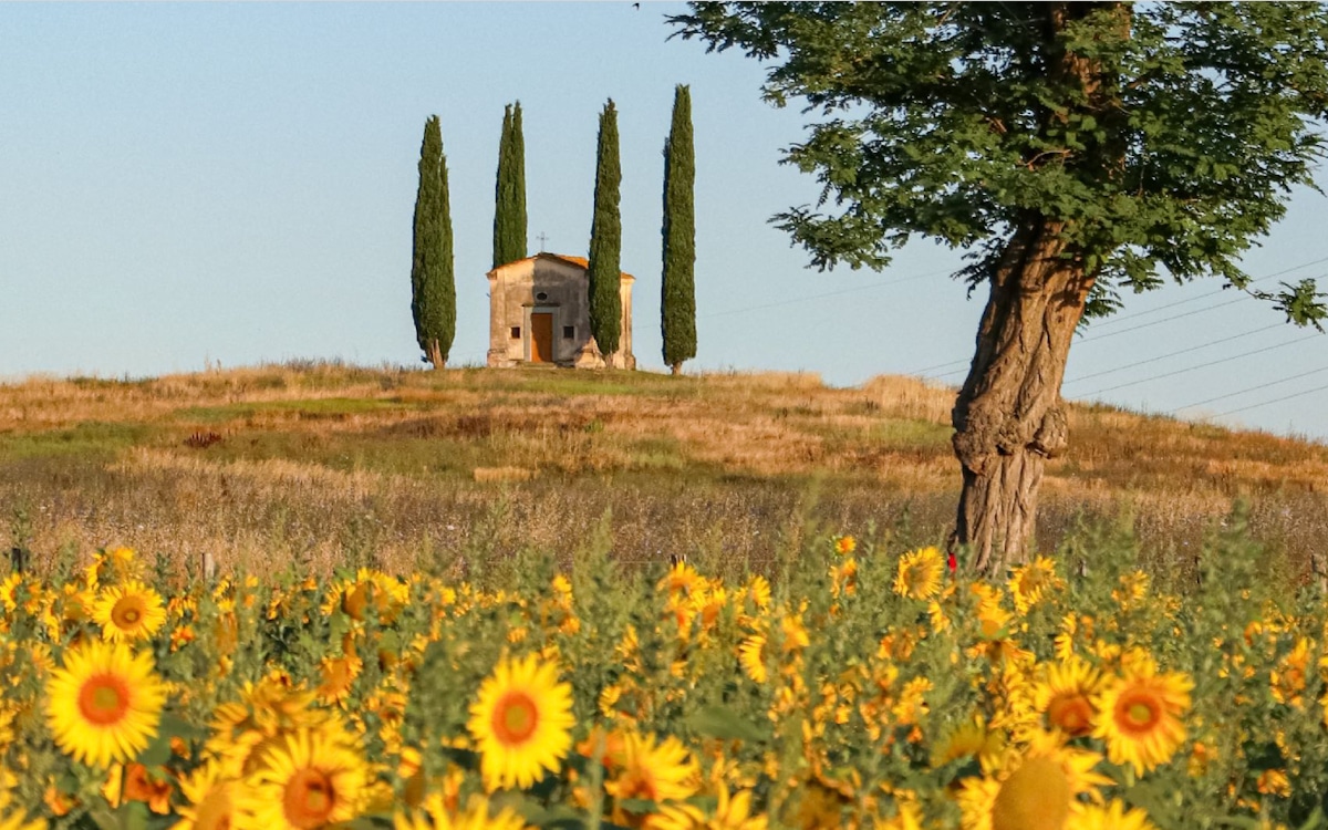 Tenuta di Camugliano: Die Kapelle Tenuta di Camugliano: Die Kapelle