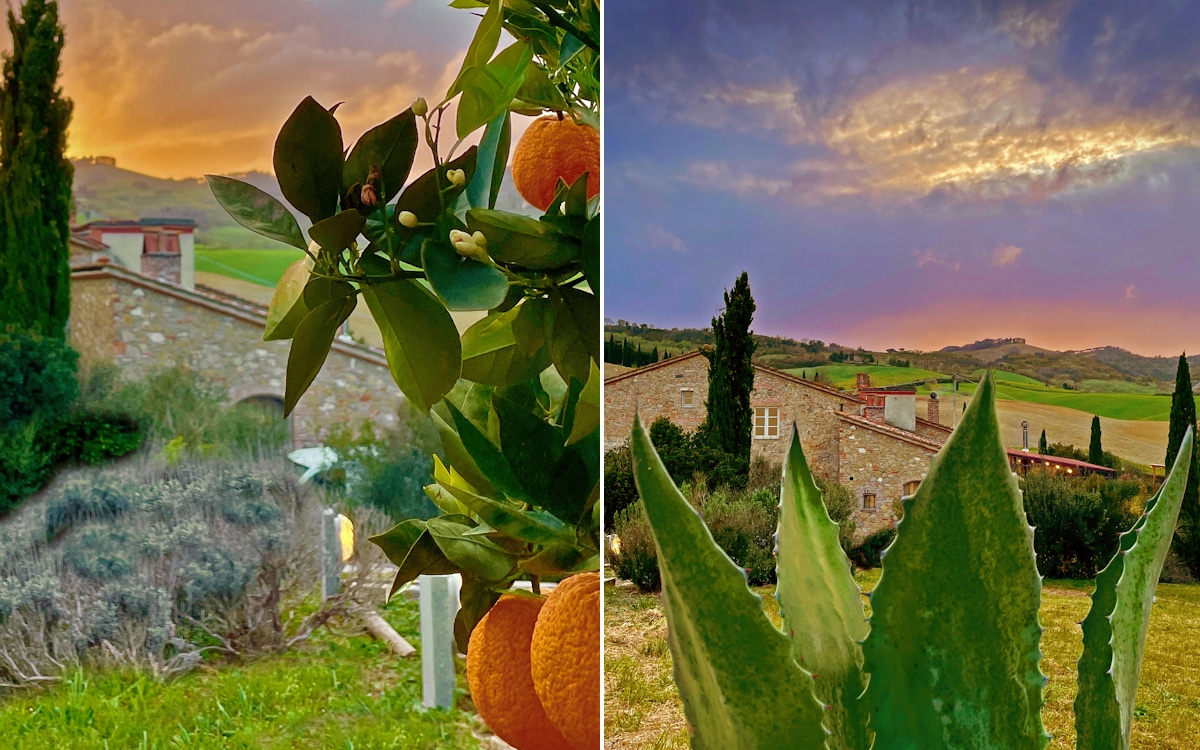 Bed and Breakfast Guardistallo 4, Garten (5) Bed and Breakfast Guardistallo 4, Garten (5)