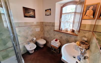 Cottage Gaiole 7m, Badezimmer (1)