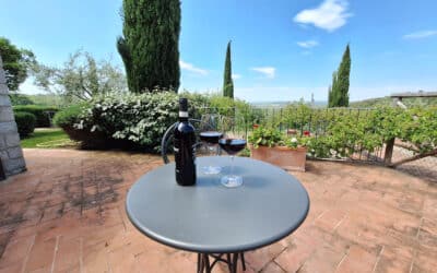 Cottage Gaiole 7m, hintere Terrasse (1)