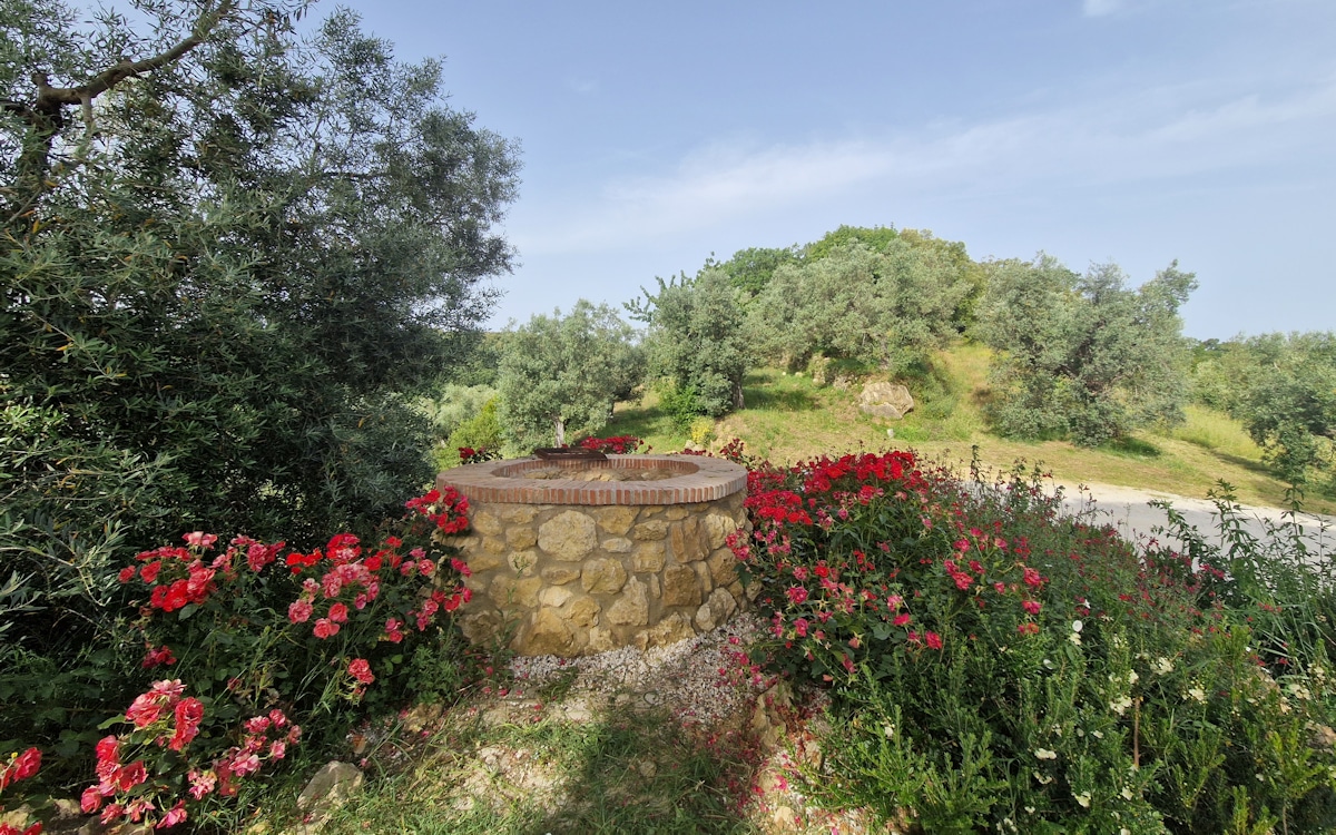 Agriturismo Guardistallo, Brunne