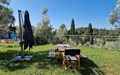 Agriturismo Guardistallo, FeWo LI31(7)