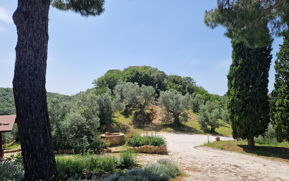 Agriturismo Guardistallo, Garten (2)