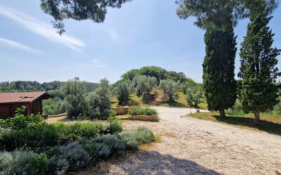 Agriturismo Guardistallo, Garten