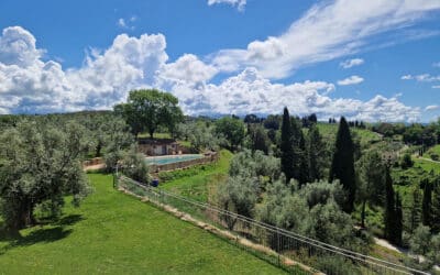 Agriturismo Guardistallo, Garten und Swimmingpool (5)