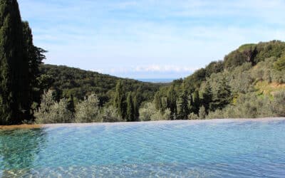 Agriturismo Guardistallo, Swimmingpool (2)