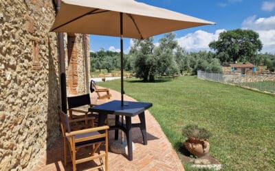 Agriturismo Guardistallo Ferienwohnung MA2E (9)