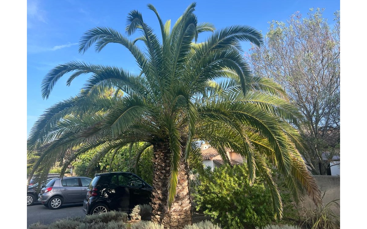 Ferienhaus Saint Tropez, Parkplatz Ferienhaus Saint Tropez, Parkplatz