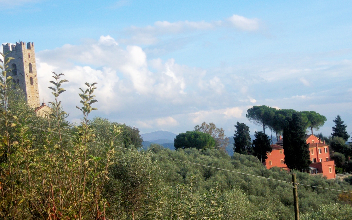 Ferienhaus Massarosa (4)