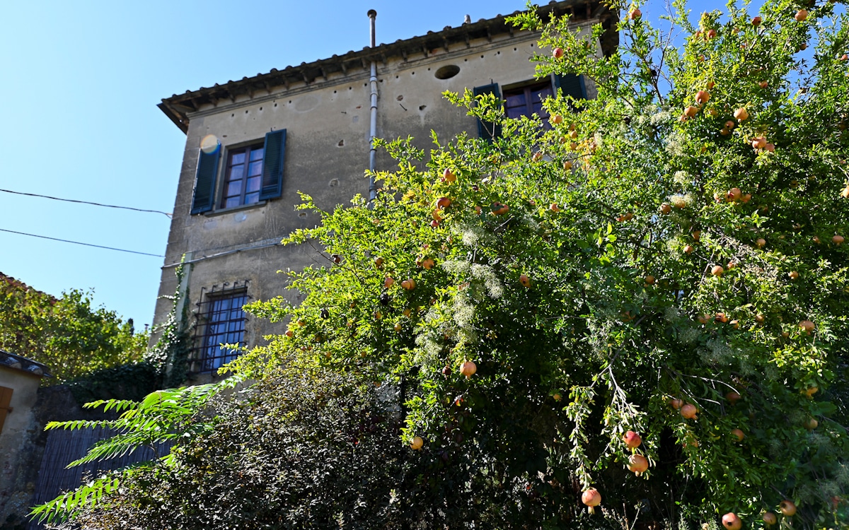 Ferienhaus Camugliano, Blick vom Garten Ferienhaus Camugliano, Blick vom Garten