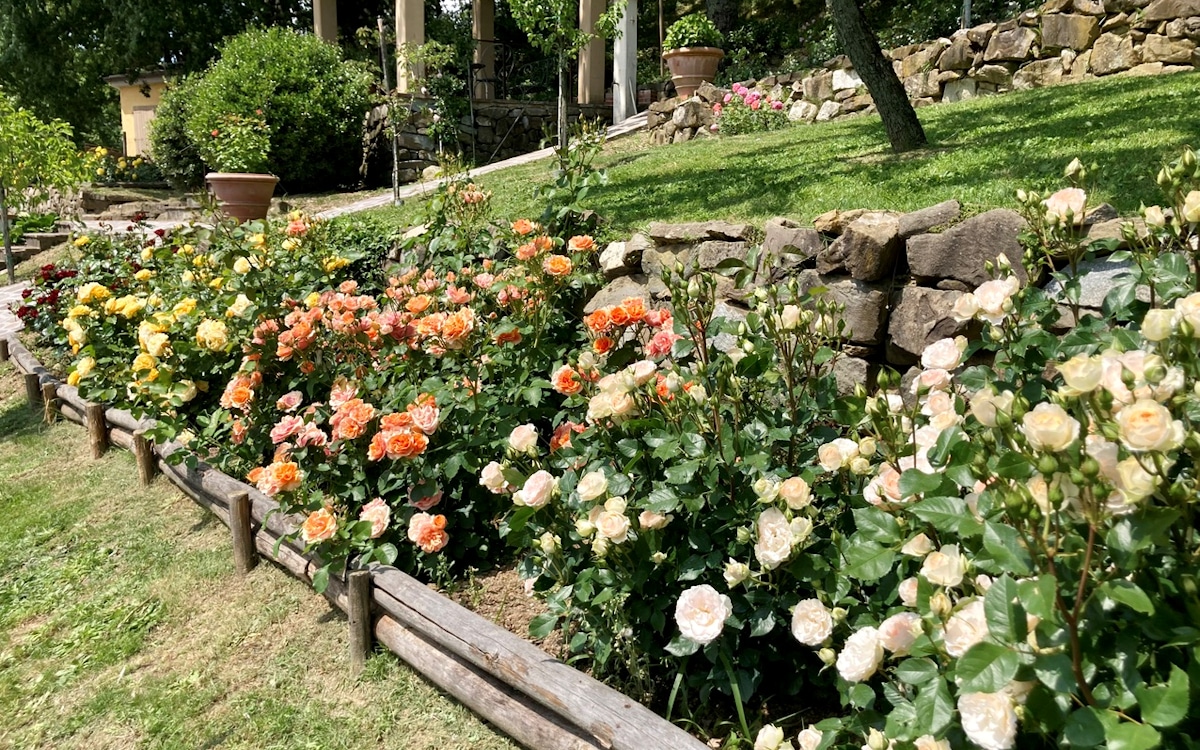 Bed and Breakfast Mugello 2, die Rosen von Antonella (2) Bed and Breakfast Mugello 2, die Rosen von Antonella (2)